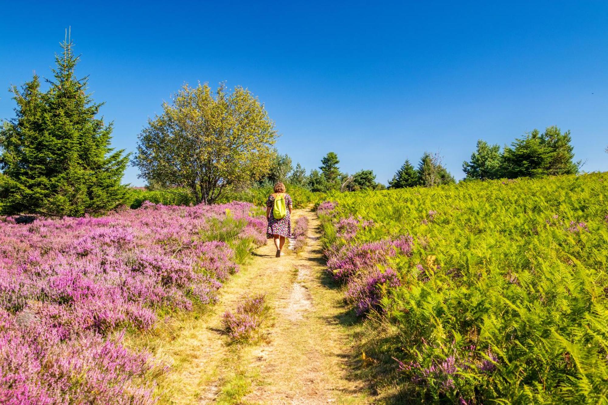 Gites Les Pittoresques Saint-Jean-Saint-Maurice-sur-Loire Luaran gambar